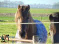 /album/fotogalerij/a11018581-818524991549293-8473192098554894129-n-jpg/
