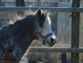 /album/fotogalerij/a1keet1018581-818524991549293-8473192098554894129-n-jpg/
